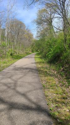 Finally, some pavement