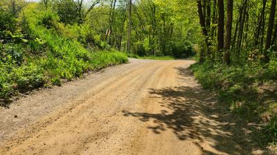 Unpaved road through the woods