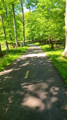 River trails in Lansing
