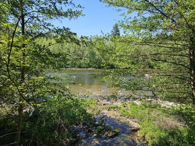 Thames River